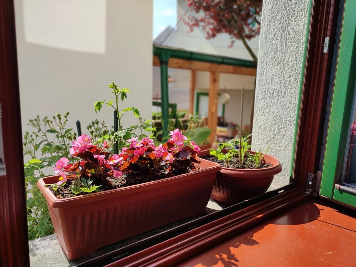 Green Gate Apartments Sarajevo Ngoại thất bức ảnh